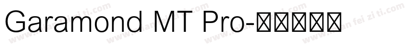 Garamond MT Pro字体转换